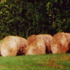 bails