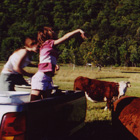 cowtruck