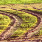 field2